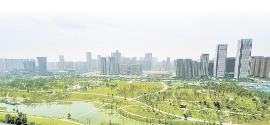 成都生态建设投入不断加强、绿量持续增长 本报摄影部供图