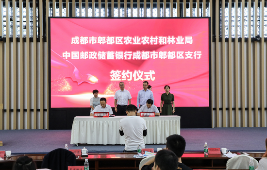 签约仪式