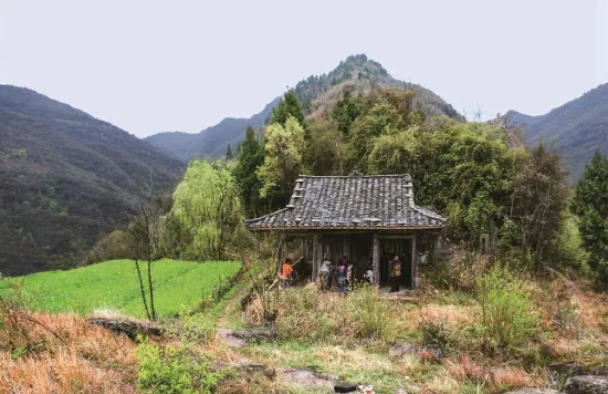 ▲(原)秦河·三官場(chǎng)蒲永芳“花山” 攝影羅興明