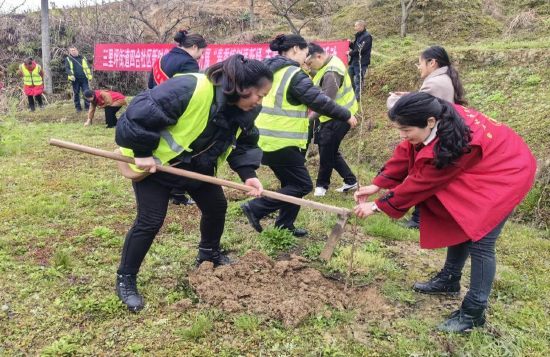 植树节中你挖坑、我扶苗