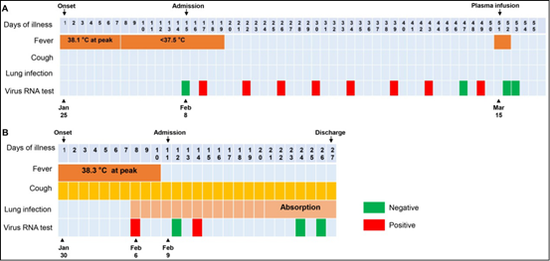 <Fig.1 Case 1和Case 2的症状、体温及病毒动态>