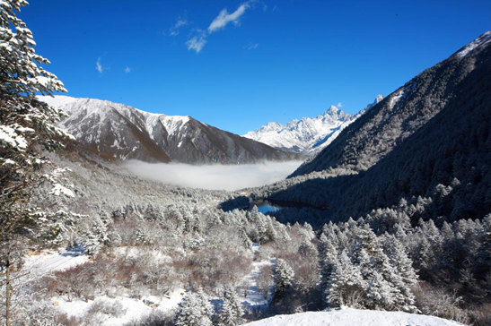 木格措漫山雾凇(摄影 文月)