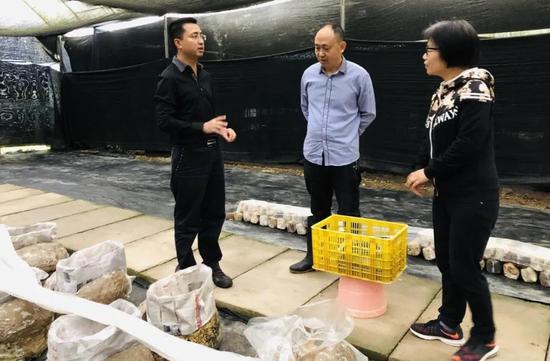 龔兵向耿新翠詳細了解研究所食用菌項目研究情況