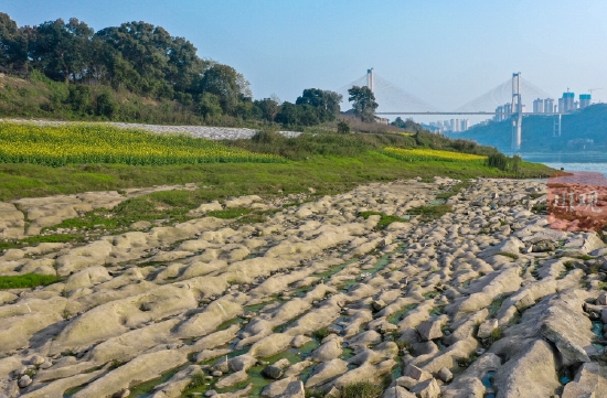 一浪接一浪，又见长江边万年形成的石海“涌浪”奇特地貌