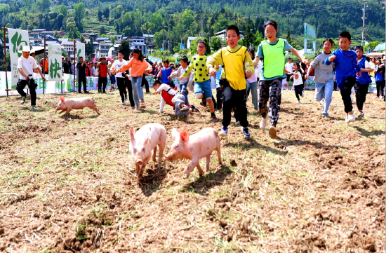 趣味抓猪活动现场