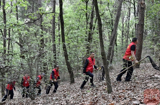 双流：“红马甲”巡山护林 守护绿色家园