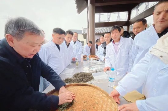 制茶师培训