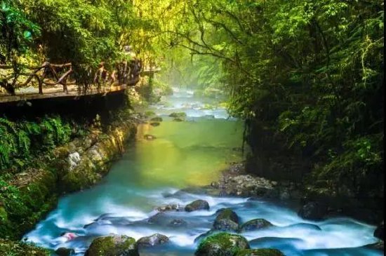 ▲巴山大峡谷桃溪谷