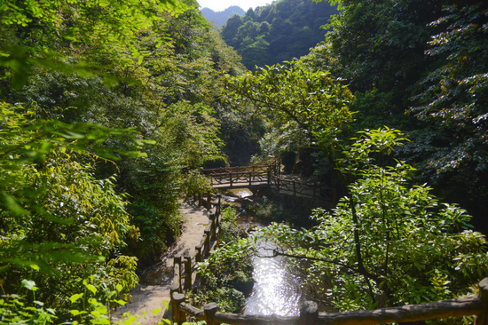 (峡谷)