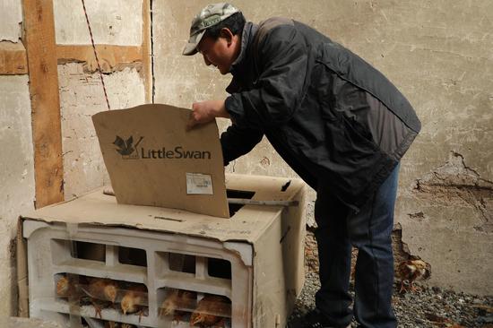 松岗镇经济总量_松岗镇全图