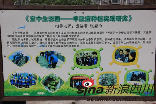 羊肚菌种植课题