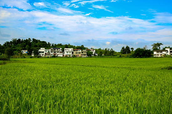 隆昌美好乡村旅游画卷