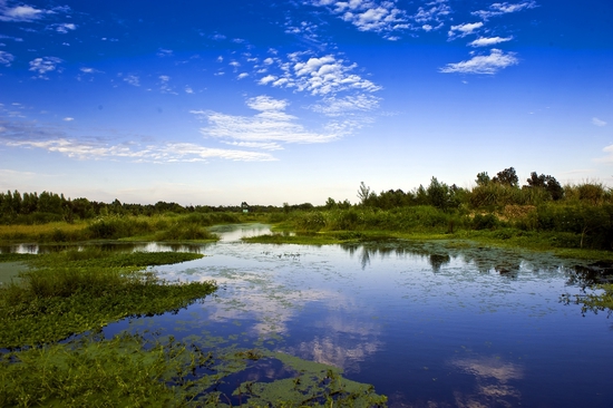 新津白鹤滩国家湿地公园