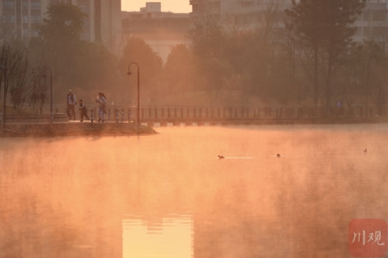 出太阳啦！春天的第一缕阳光 终结成都十年来最冷春节