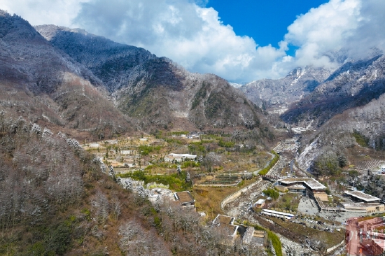 银装素裹！卧龙中华大熊猫苑仿佛镶嵌在童话世界里