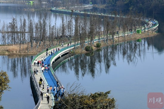 花重锦官城 律动满蓉城
