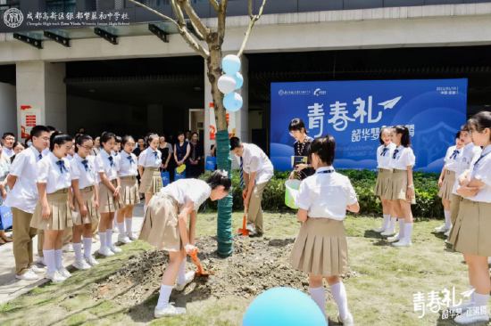 种蓝花楹