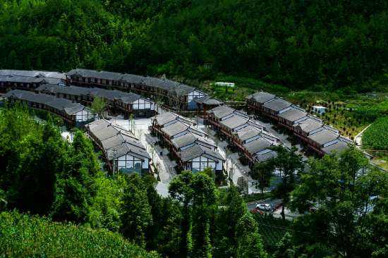 大巴山茶文化原鄉(xiāng)