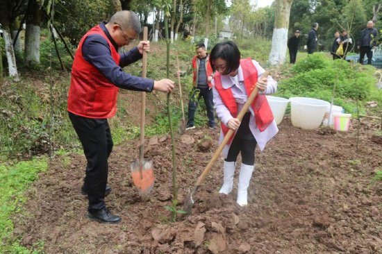 达州市园林绿化管理处机关支部开展义务植树党日活动