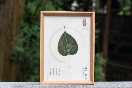 菩提古树叶纪念品