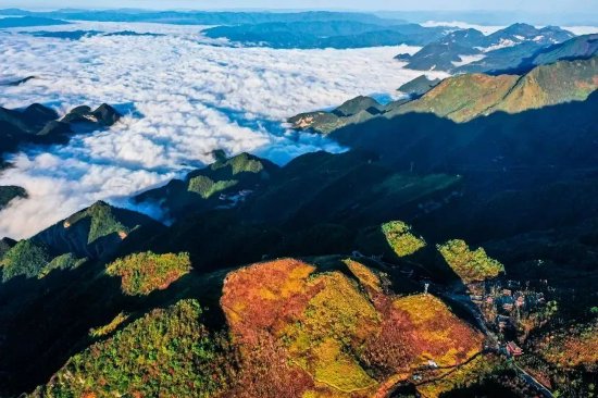 巴山大峡谷