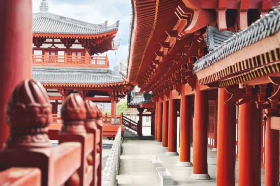 图源小红书：鱼仔