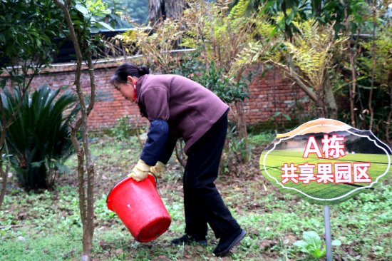 居民在共享果园浇水