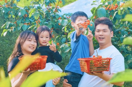 春假亲子采摘，乐享田园时光（李平 摄）