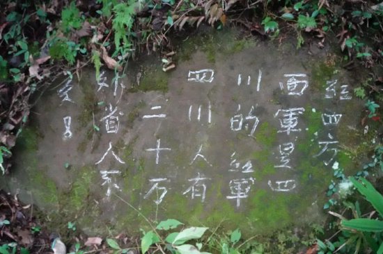 金竹林红军石刻标语