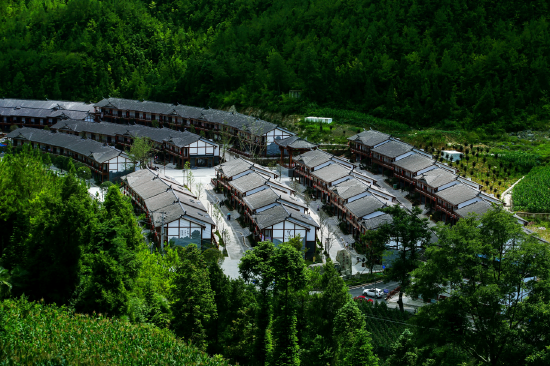 大巴山茶文化原乡