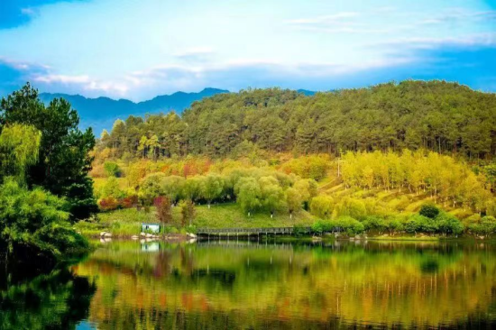  |莲花湖湿地公园“银杏翩翩飞舞，枫叶如火似霞”倾覆交错的色彩。