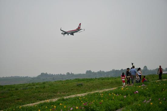 ▲航空智能智造园属于空港紧邻区。图为双流空港花田，资料图。图据ICphoto