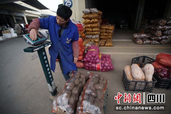 一名蔬菜批發(fā)商在給客戶購買的土豆稱重量 王磊 攝