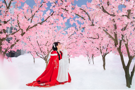 桃林雪地实景图