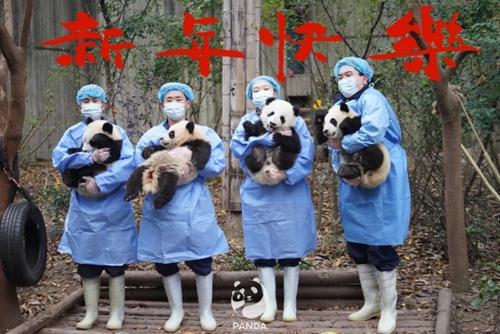 成都大熊猫繁育研究基地（景区供图）