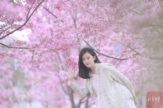 这个春天，一起做一场粉色的梦