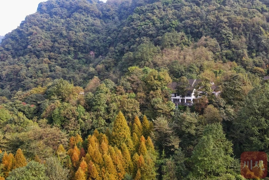 肆禧山外民宿，受访者供图