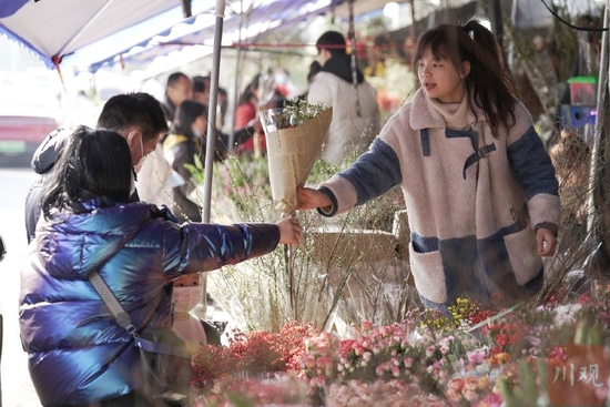 百花争艳闹新春 把不远的春天带回家