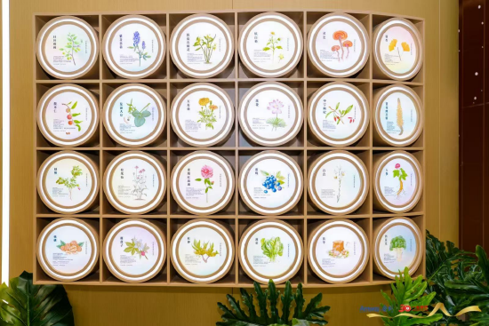 安利广州体验馆内的植物研究展示墙