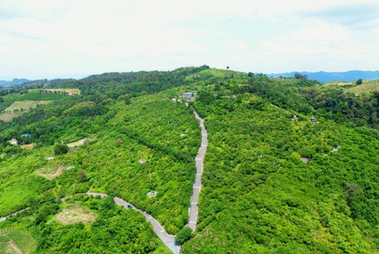 百节镇乌梅山。（李彦 摄）