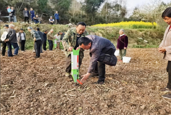 农技人员进行技术指导