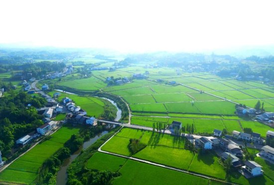 达川区粮油现代农业园区夏日盛景（拍摄于万家镇迎风村）