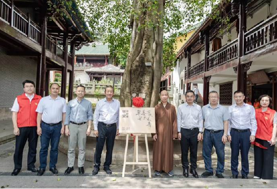 “守护古树”活动仪式