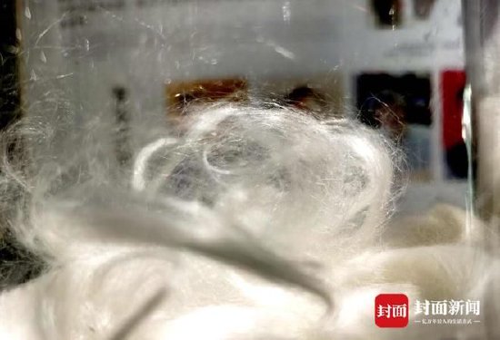 大竹苎麻纤维细如蛛丝。曾业 摄