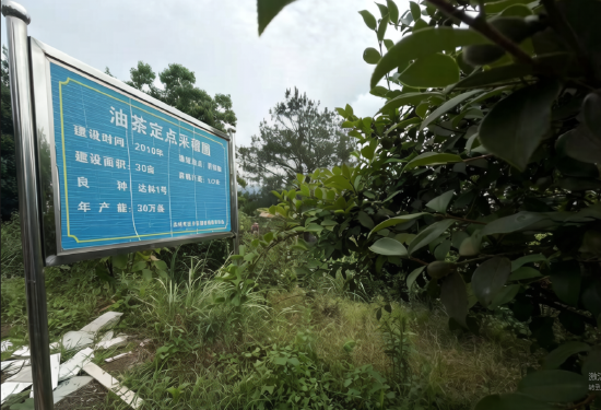 雷音铺国有林场