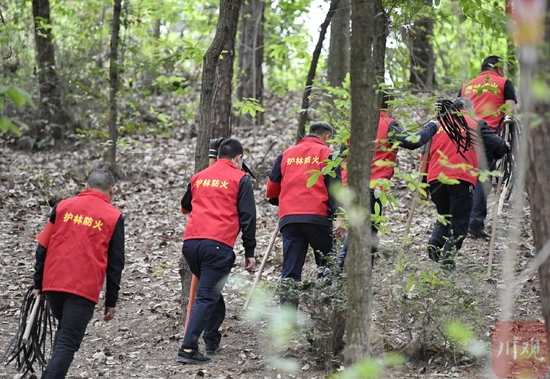 双流：“红马甲”巡山护林 守护绿色家园