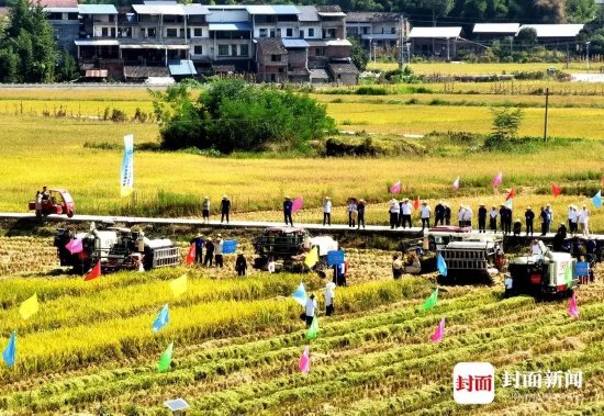 2024年川渝丘陵山区农机技能竞赛在达州市达川区举行。曾业 摄