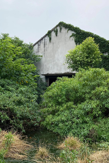 四川省钢锉厂的综合车间(未来为 1956 文创园,Local本地已启动参与改造再利用工作,预计 2022 年底呈现) ©Local本地