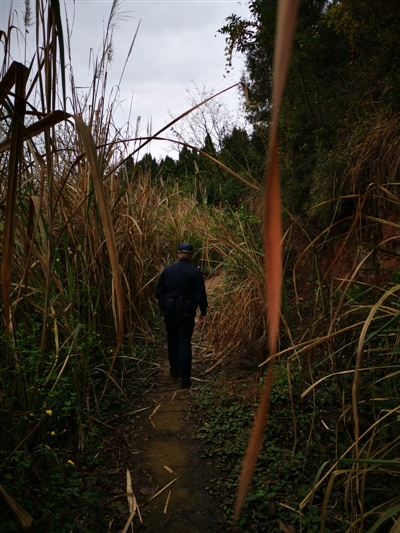 上山的路