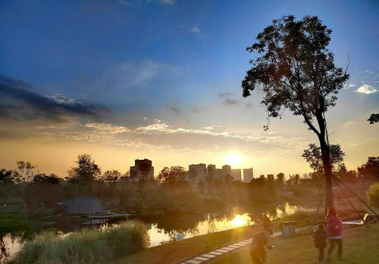 11月17日傍晚,成都高新西区中水湿地公园的夕阳美景。 四川日报全媒体记者 衡昌辉 摄